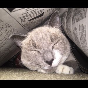 Meet your Posher, Kelsie